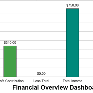 Automated Financial Overview Dashboard for Daily Income and Expense Tracker
